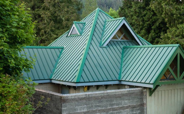 Best Steel Roofing  in Del Norte, CO