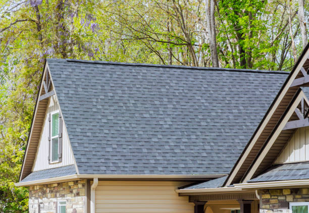Fast & Reliable Emergency Roof Repairs in Del Norte, CO
