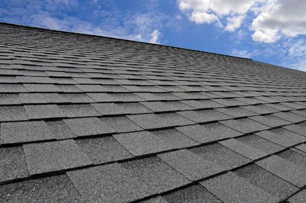 Reliable Del Norte, CO Roofing Service Solutions