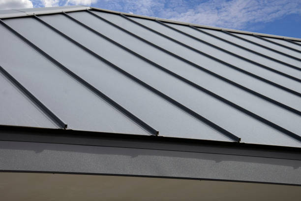 Best Sheet Metal Roofing  in Del Norte, CO