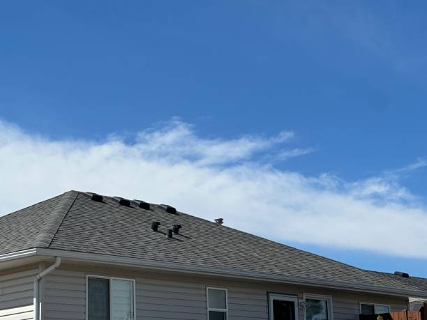 Best Wood Shake Roofing  in Del Norte, CO